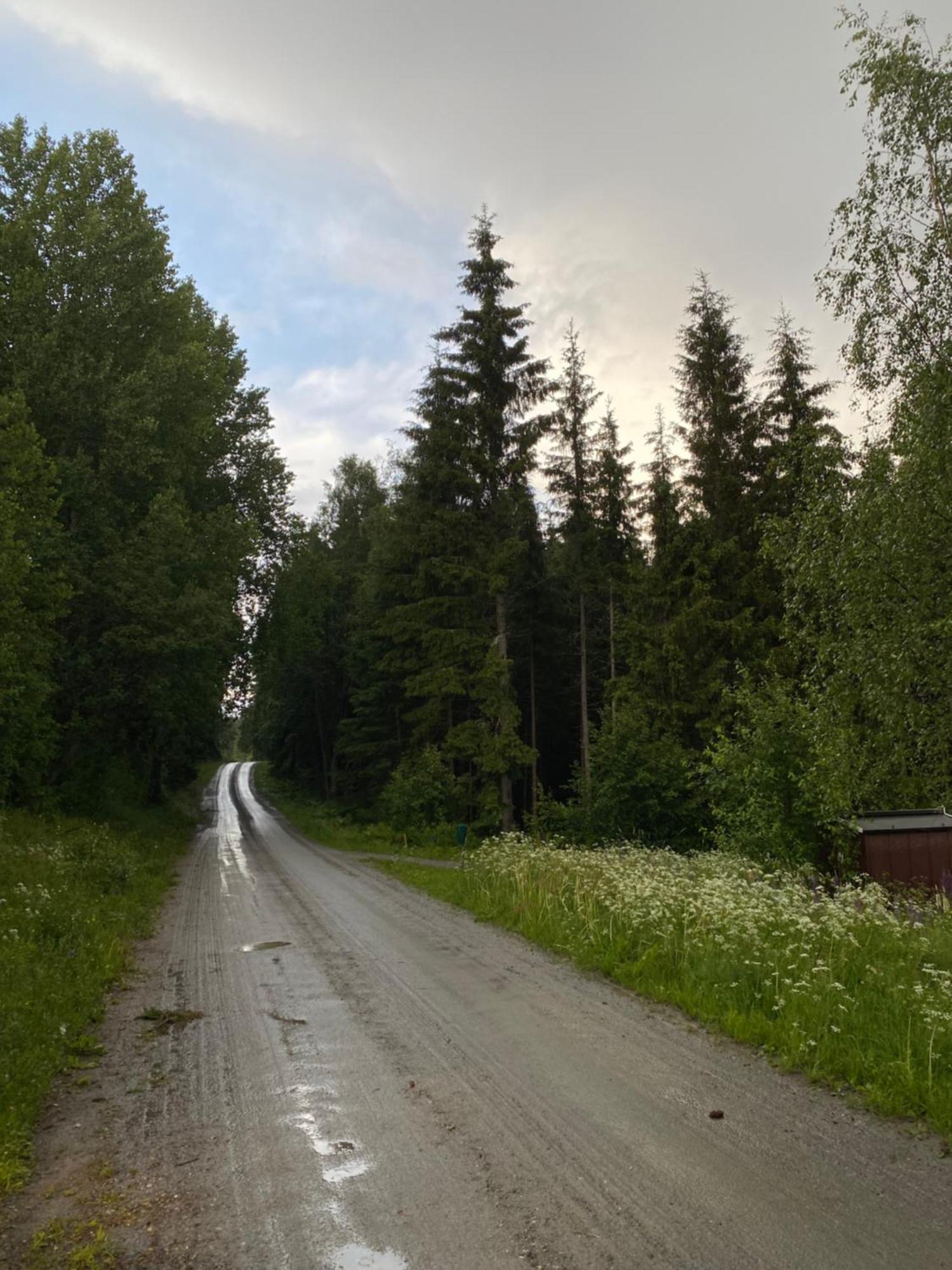 Koselig Hytte I Sverige 20 Minutter Fra Norskegrensen Ostervallskog Töcksfors Eksteriør billede