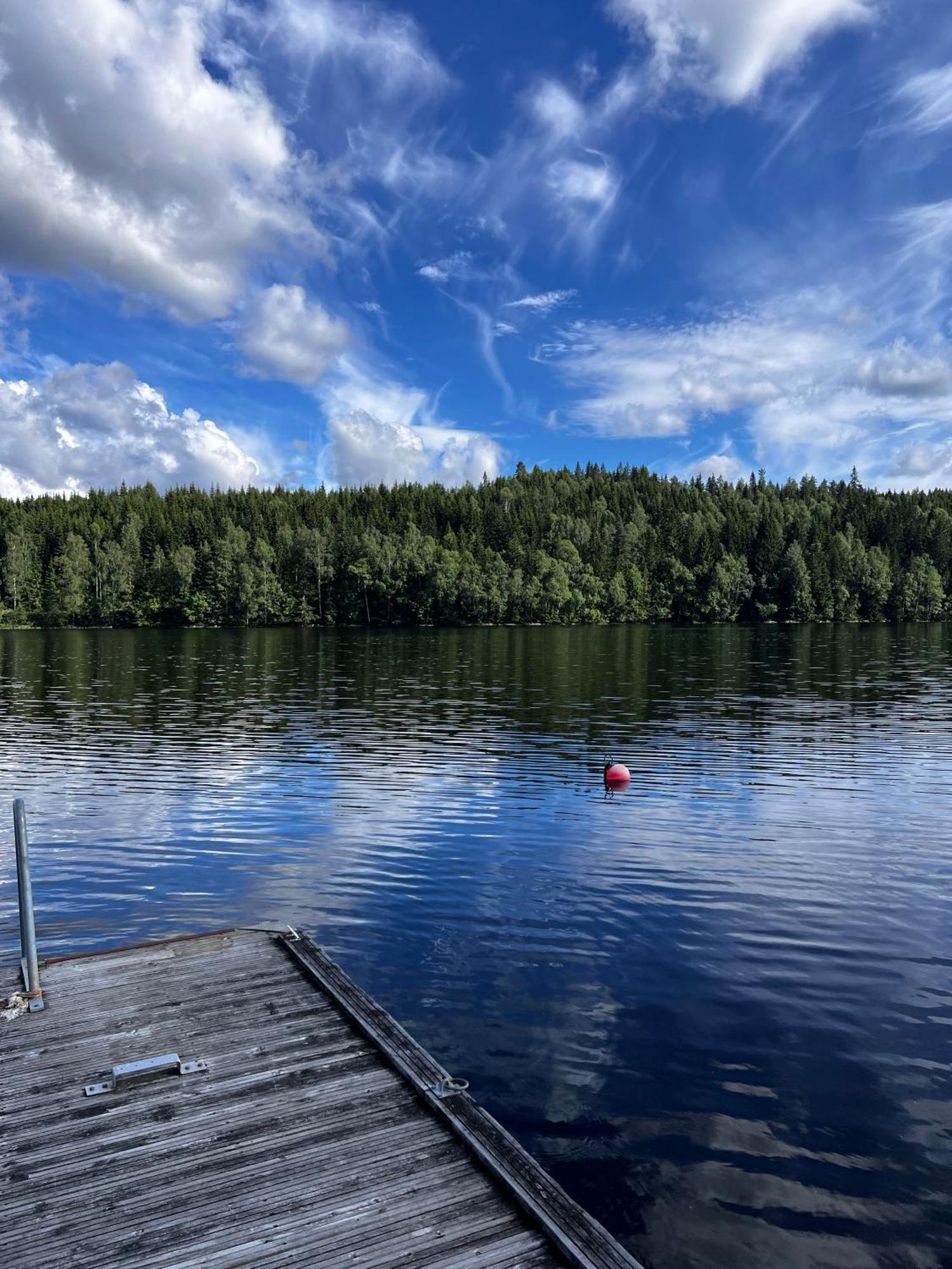 Koselig Hytte I Sverige 20 Minutter Fra Norskegrensen Ostervallskog Töcksfors Eksteriør billede