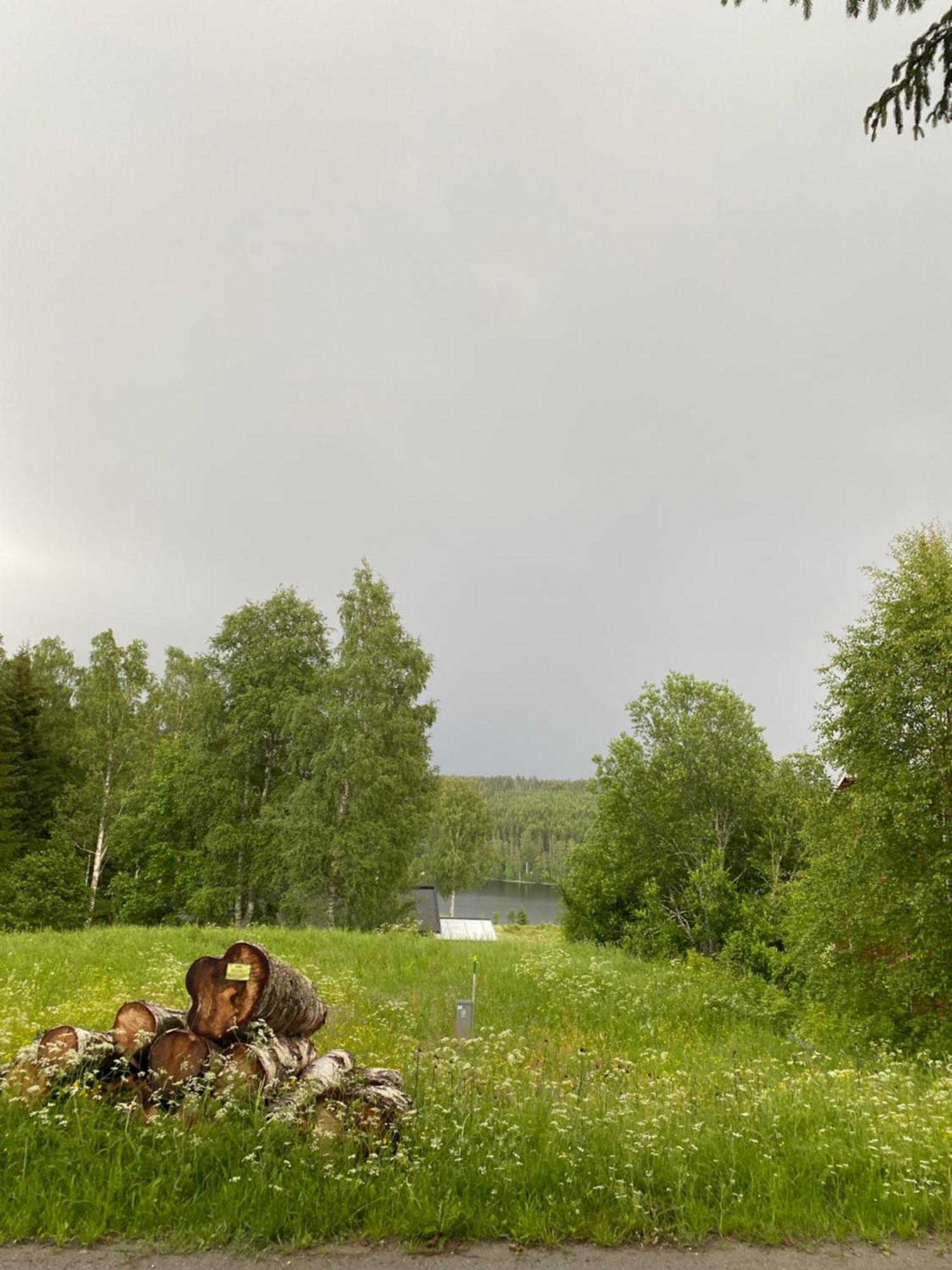 Koselig Hytte I Sverige 20 Minutter Fra Norskegrensen Ostervallskog Töcksfors Eksteriør billede