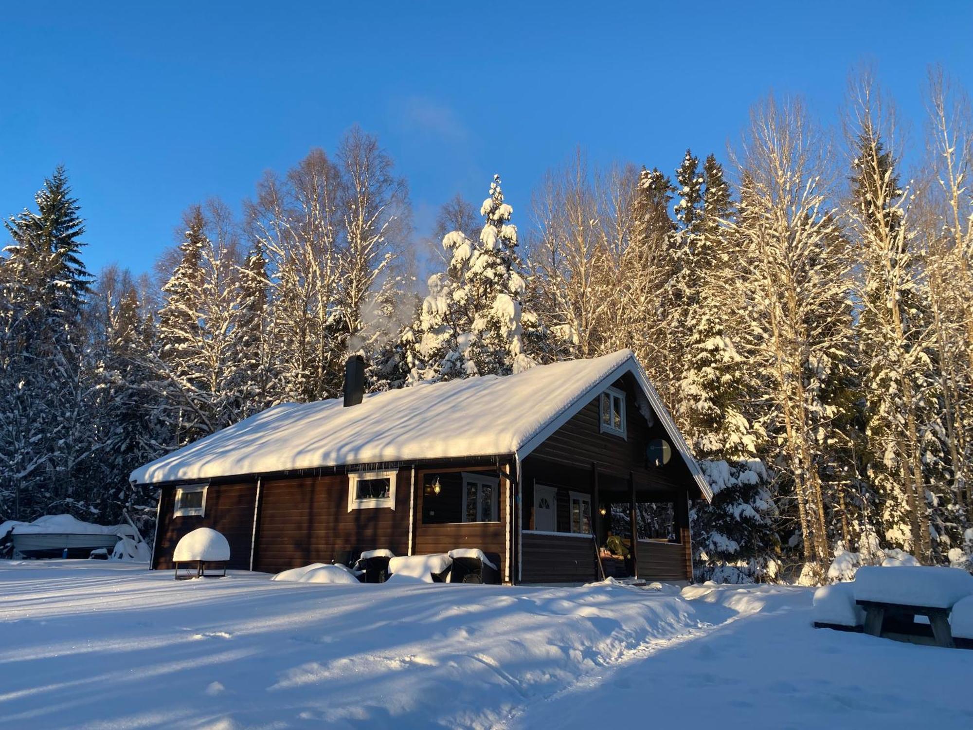 Koselig Hytte I Sverige 20 Minutter Fra Norskegrensen Ostervallskog Töcksfors Eksteriør billede
